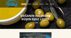 Desktop Screenshot of goklergida.com