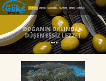 Tablet Screenshot of goklergida.com